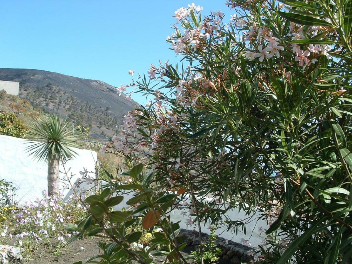 Casa Los Vinedos B Fuencaliente de la Palma Luaran gambar